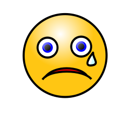 crying_face.jpg
